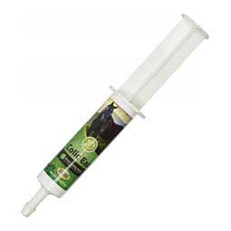 #17 Kolik Eaz Herbal Paste for Horses  Silver Lining Herbs